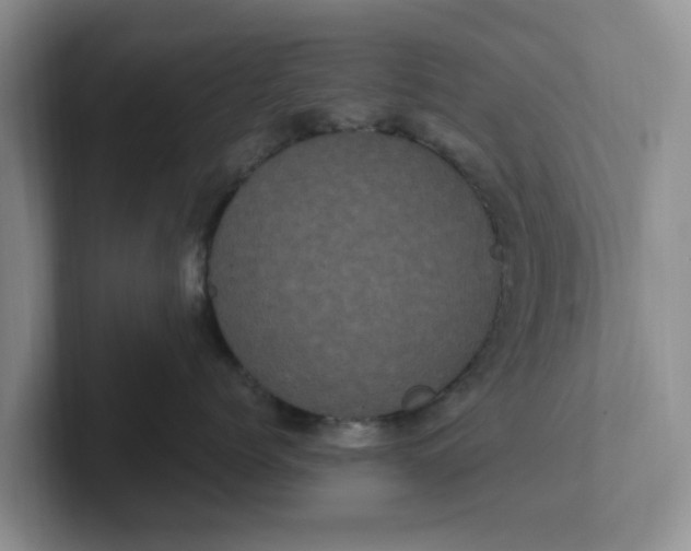 X0000102290768200808081523