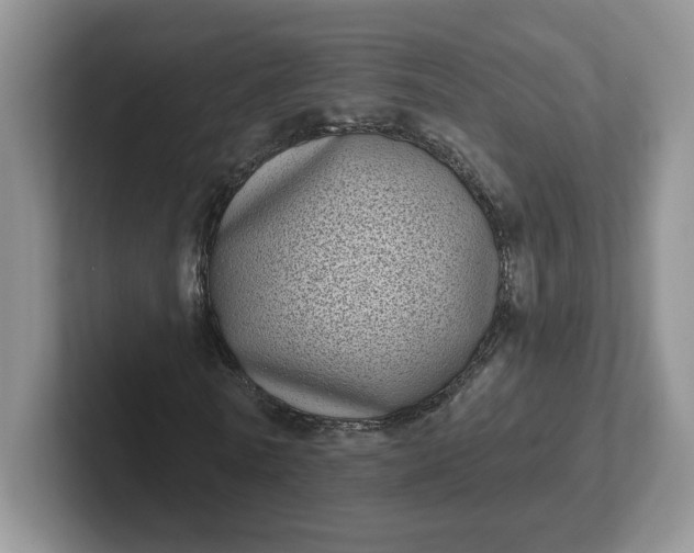 X0000102290770200808081522