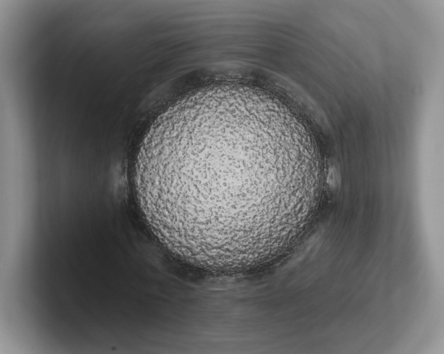 X0000102290771200808081522