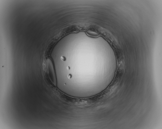 X0000102290772200808081522