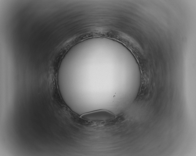 X0000102290773200808081522