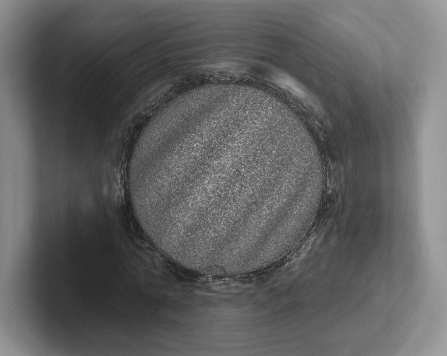 X0000102290774200808081522