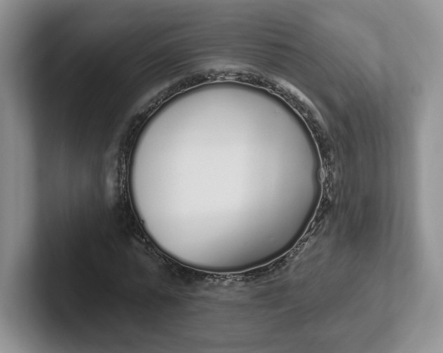 X0000102290775200808081522