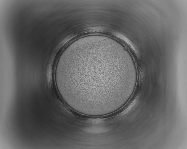 X0000102290778200808081522