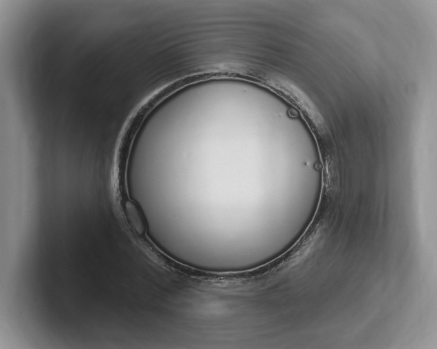 X0000102290780200808081522