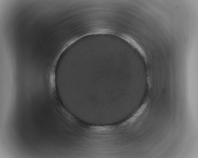 X0000102290781200808081522