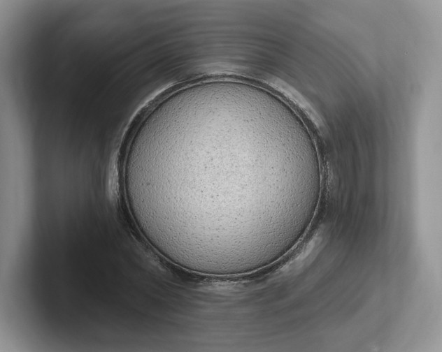 X0000102290782200808081522