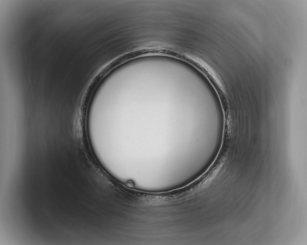 X0000102290783200808081522