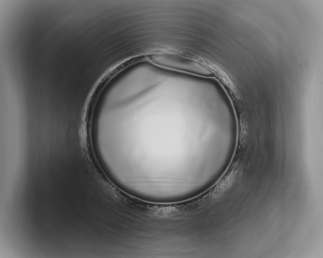 X0000102290784200808081522