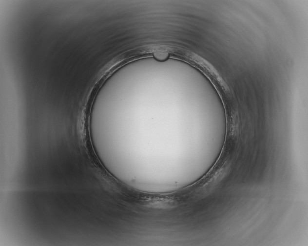 X0000102290786200808081522