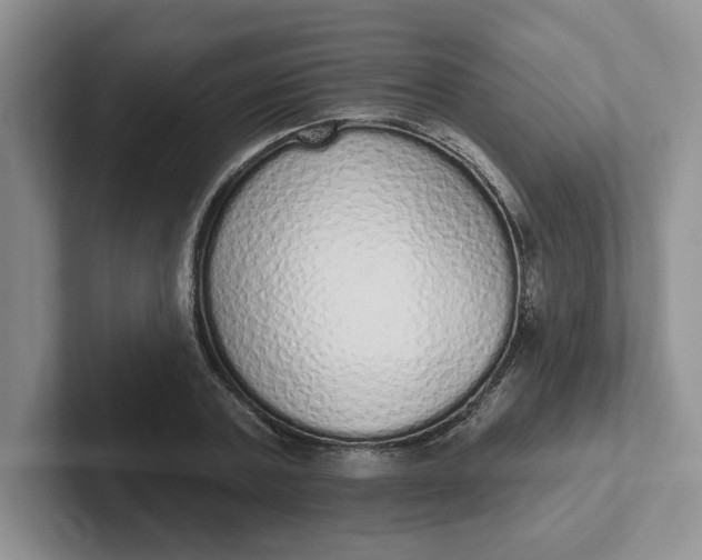 X0000102290787200808081522