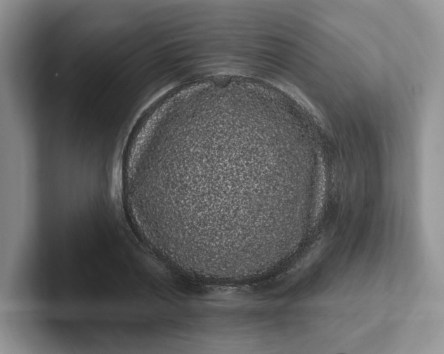 X0000102290790200808081522