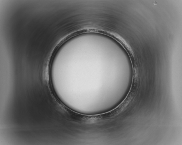 X0000102290791200808081522