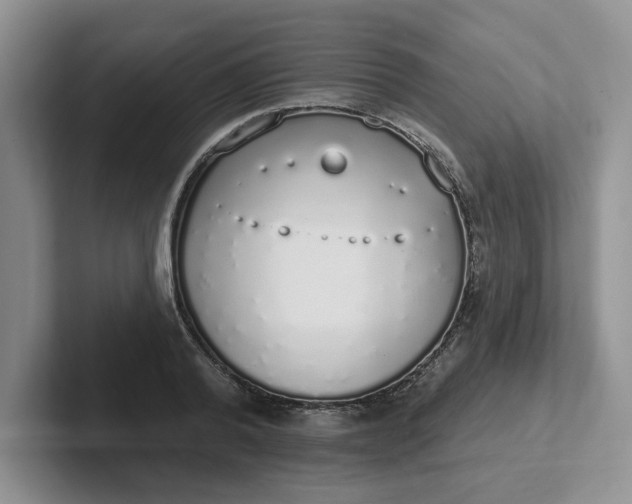 X0000102290792200808081522