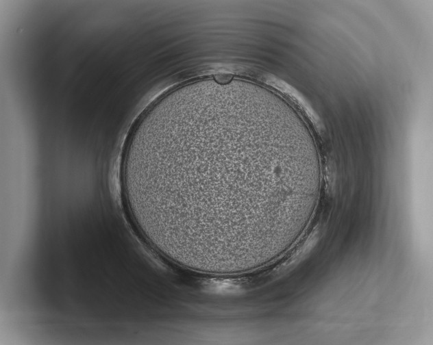 X0000102290794200808081522