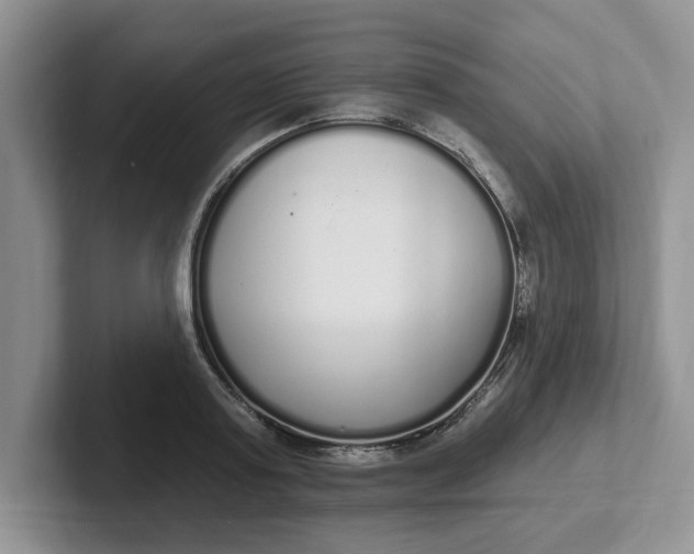 X0000102290795200808081522