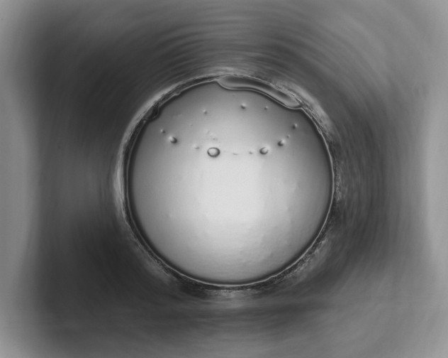 X0000102290796200808081522