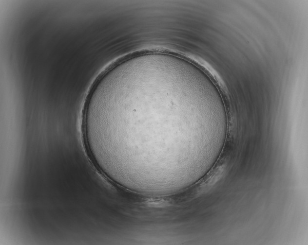 X0000102290799200808081522