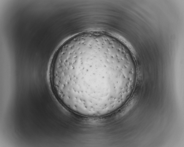 X0000102290803200808081522