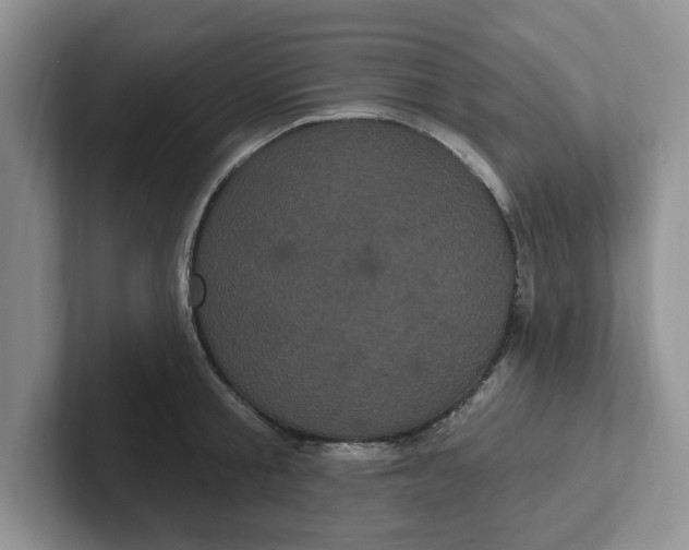 X0000102290805200808081522