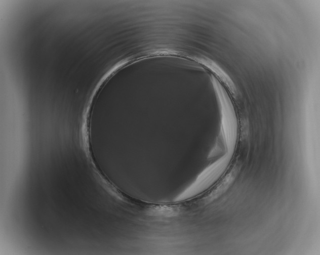 X0000102290806200808081522