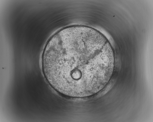 X0000102290807200808081522