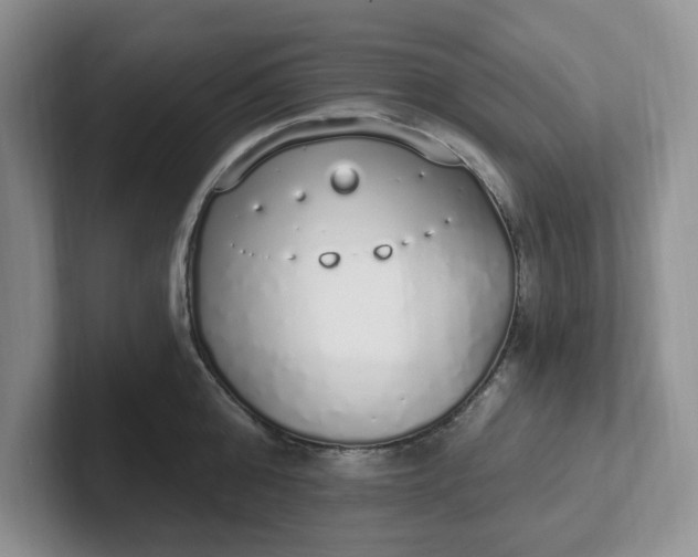 X0000102290808200808081522