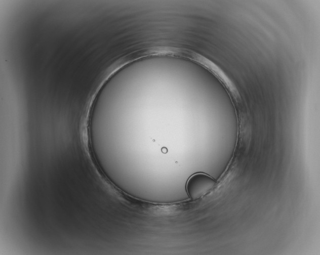 X0000102290810200808081522