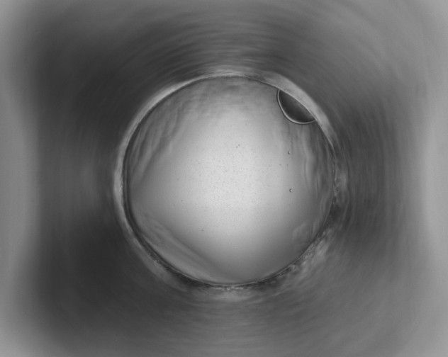 X0000102290811200808081522