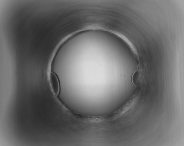 X0000102290815200808081521