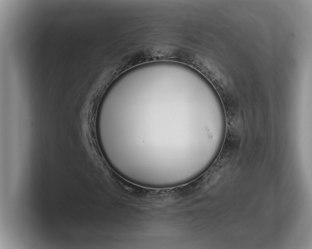 X0000102290817200808081521