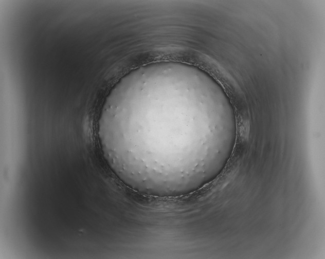 X0000102290819200808081521