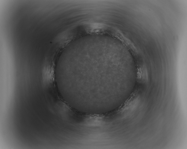 X0000102290820200808081521