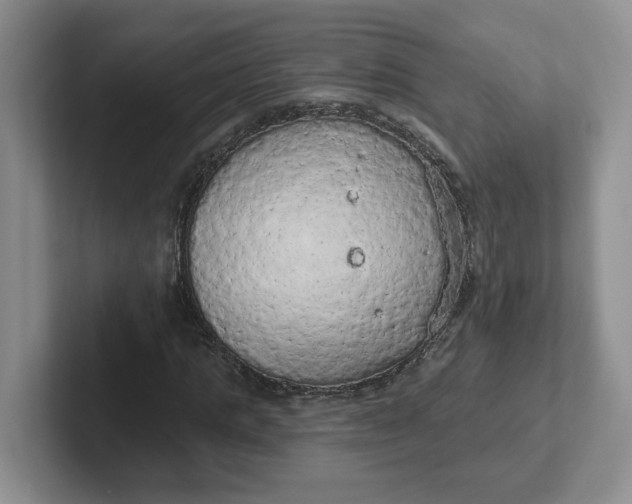 X0000102290821200808081521