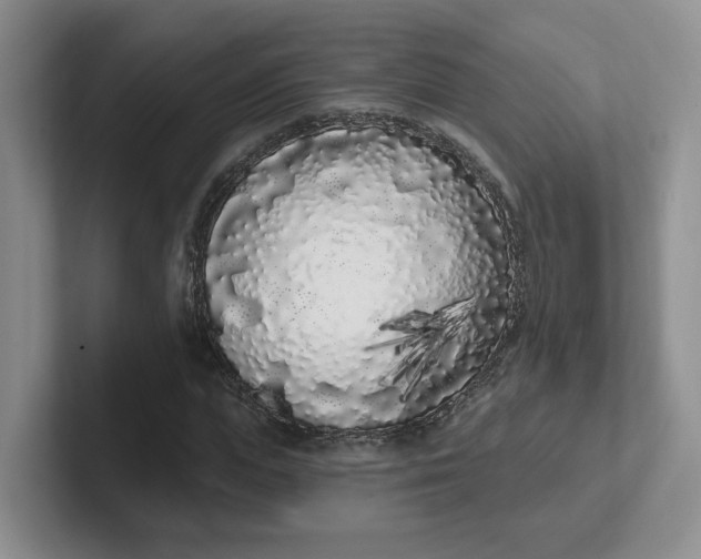 X0000102290823200808081521