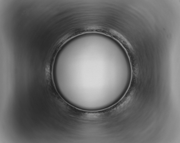 X0000102290825200808081521