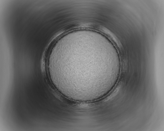 X0000102290827200808081521