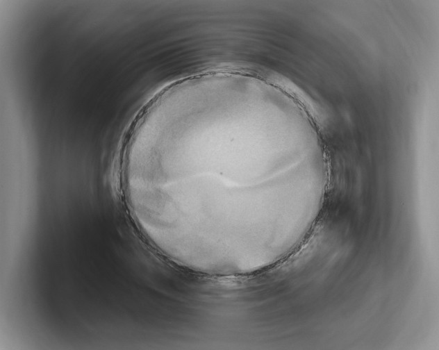 X0000102290828200808081521