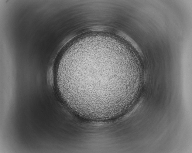 X0000102290829200808081521