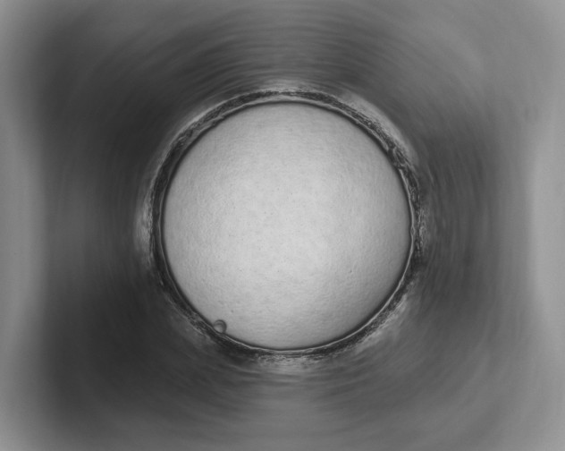 X0000102290831200808081521