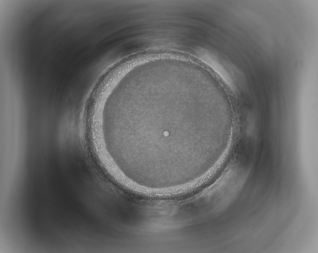 X0000102290832200808081521