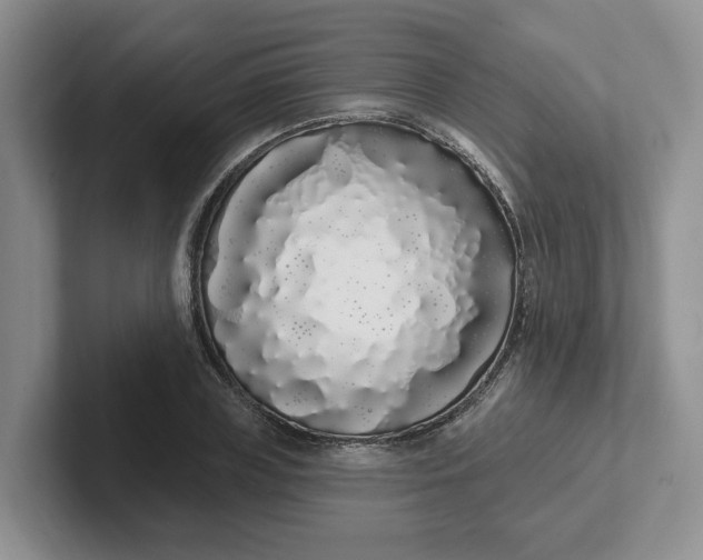 X0000102290835200808081521