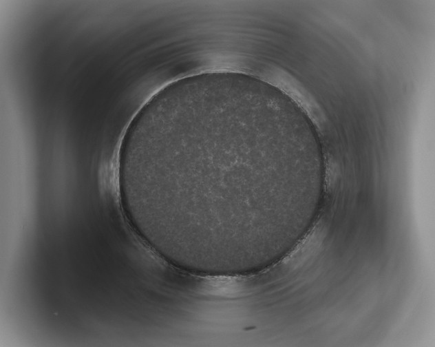 X0000102290836200808081521