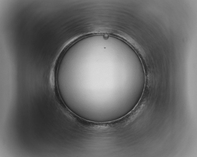 X0000102290838200808081521