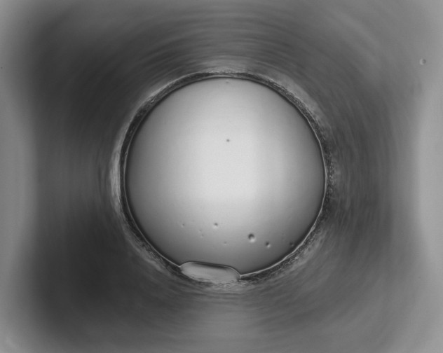 X0000102290840200808081521