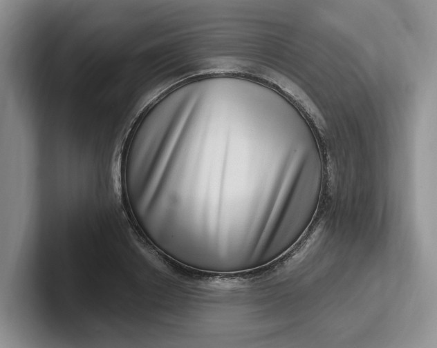 X0000102290842200808081521