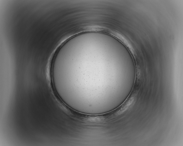 X0000102290843200808081521