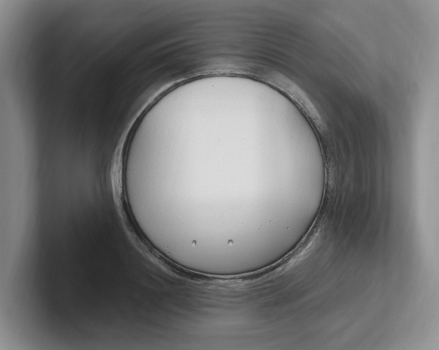 X0000102290844200808081521