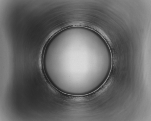 X0000102290845200808081521