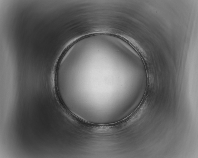 X0000102290846200808081521